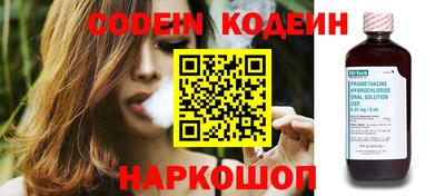 крисы Славгород