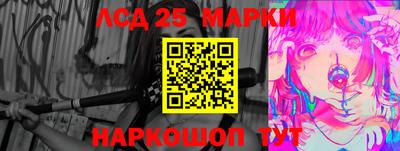 крисы Славгород
