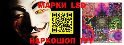 крисы Славгород