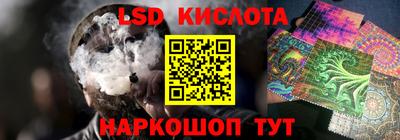 крисы Славгород