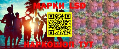 крисы Славгород