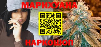крисы Славгород