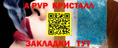 крисы Славгород