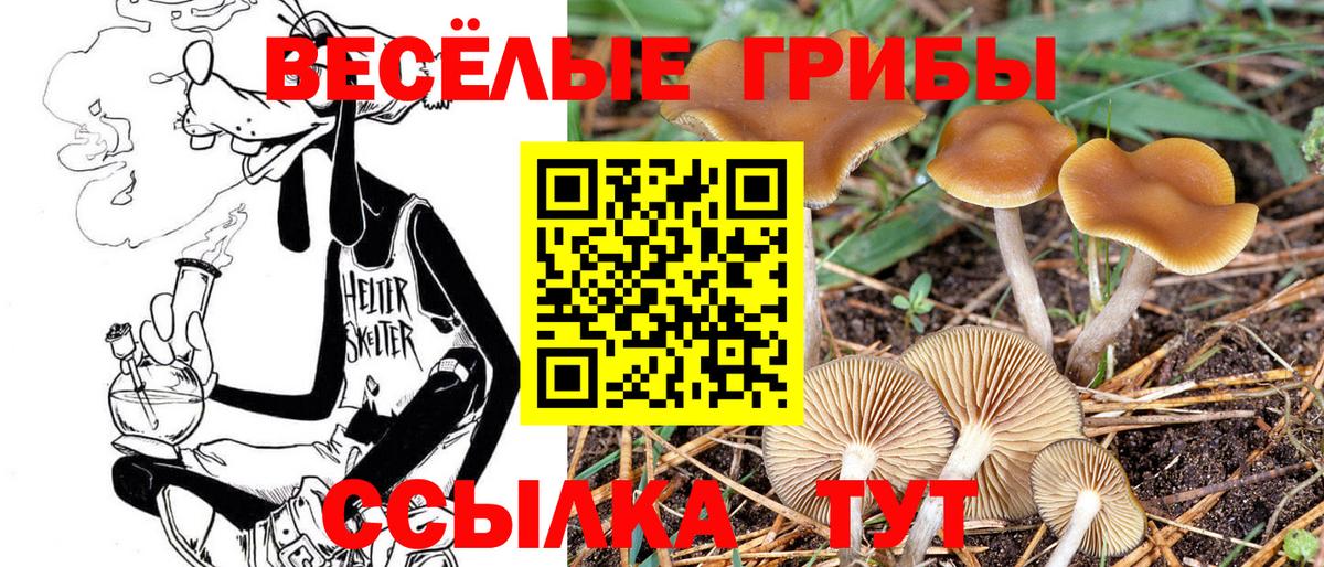 Обнинск  Галлюциногенные грибы MAGIC MUSHROOMS  Вход с VPN 