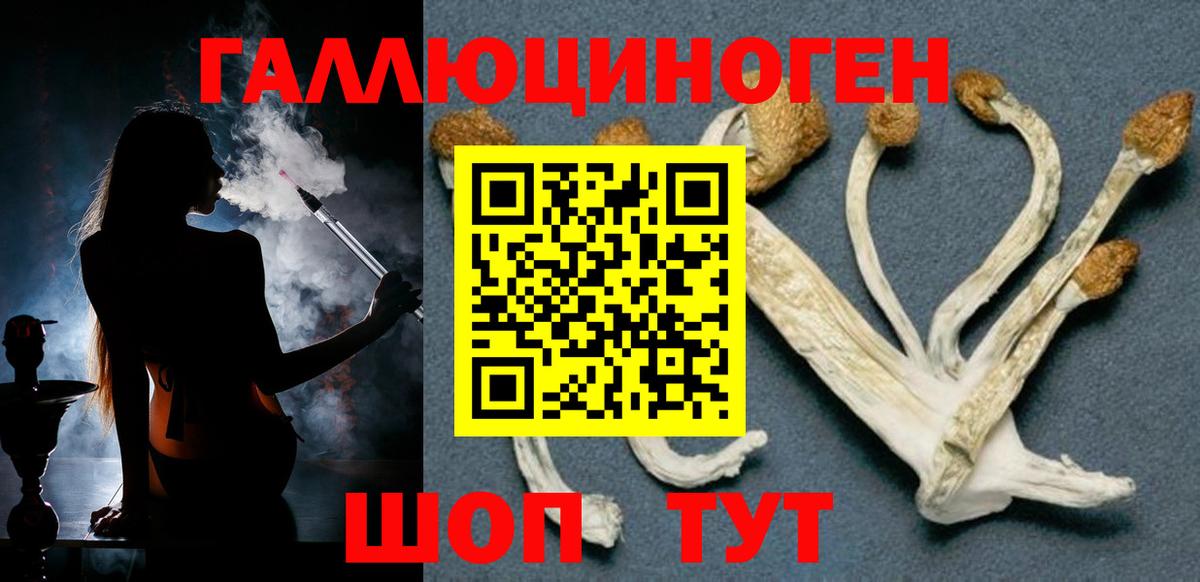Галлюциногенные грибы ЛСД Обнинск